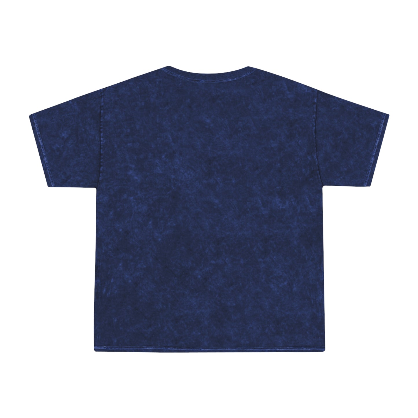 ODIN Unisex Mineral Wash T-Shirt